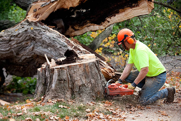 Mulching Services in Lake City, AR